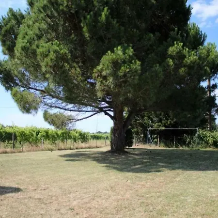 House Saint Georges D'Oleron - 5 Pers, 50 M2, 3/2 Saint-Georges-d'Oleron