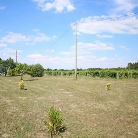 Villa House Saint Georges D'Oleron - 5 Pers, 50 M2, 3/2 Saint-Georges-d'Oleron